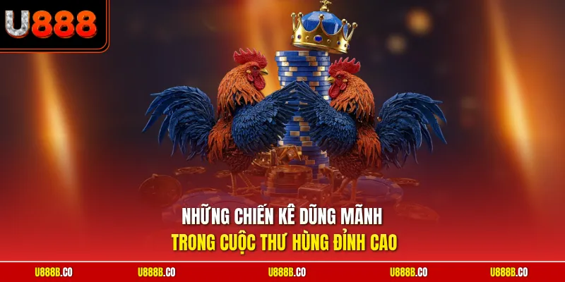 Những chiến kê dũng mãnh trong cuộc thư hùng đỉnh cao