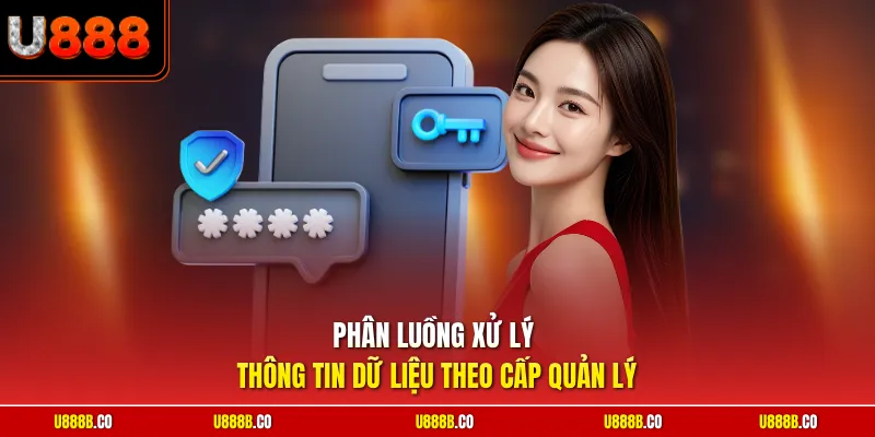 Phân luồng xử lý thông tin dữ liệu theo cấp quản lý